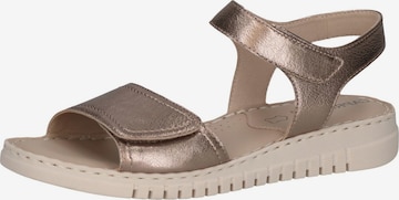 CAPRICE Sandale in Bronze: Vorderseite