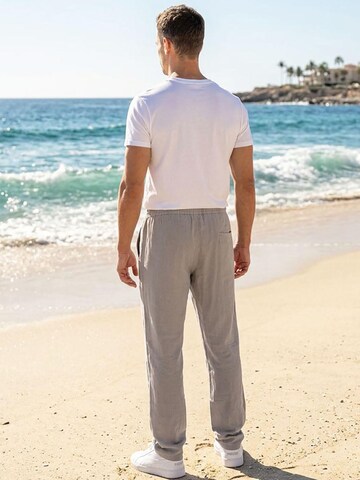 Reslad Regular Pants 'RS3003' in Grey