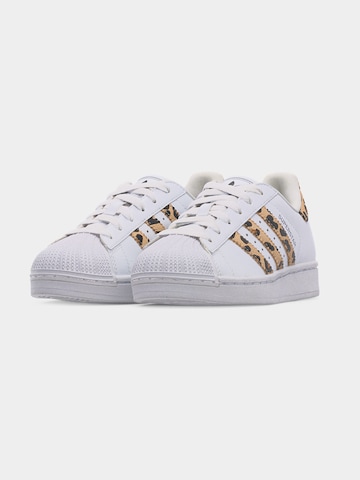 Sneaker 'SUPERSTAR II' di ADIDAS ORIGINALS in bianco