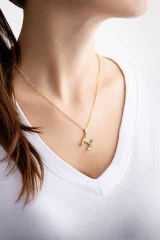 So Chic Ketting in Goud