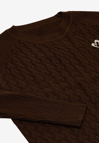 IMMY Pullover in Braun