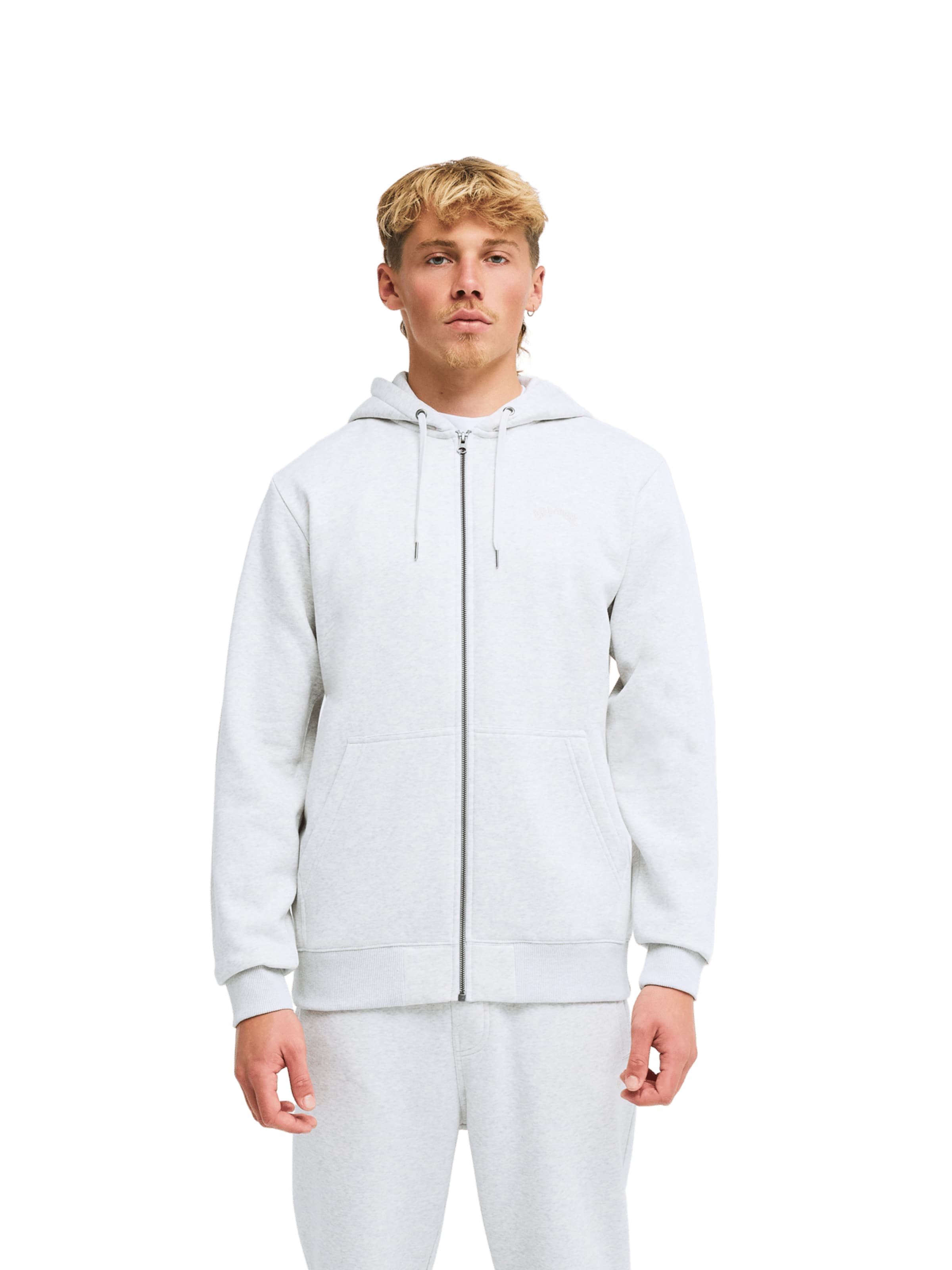 BILLABONG Zip-Up Hoodie 'Arch' in Grey: front