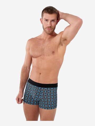 HOM Boxer shorts ' Aloys Boxer Briefs ' in Blue: front