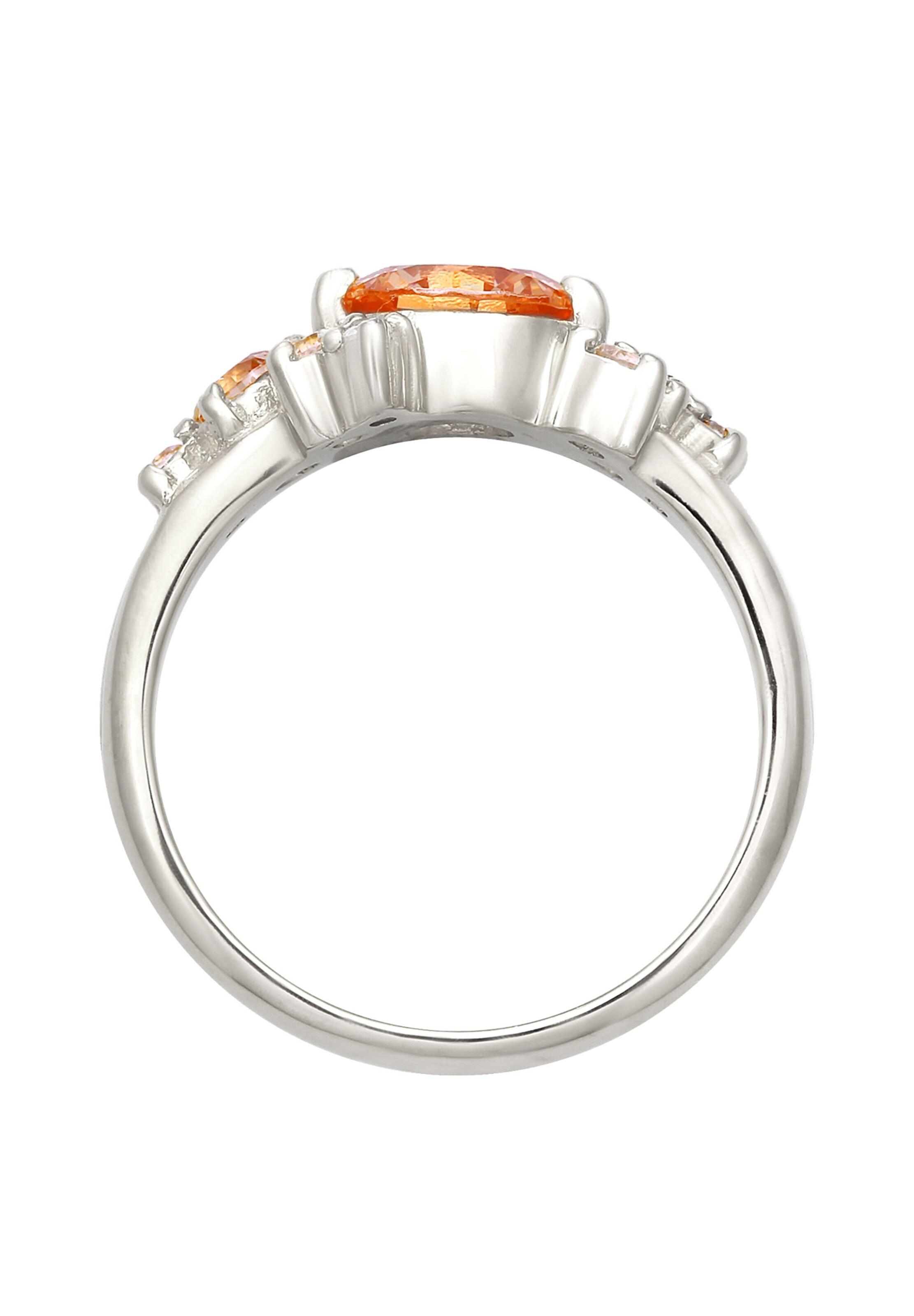 ELLI PREMIUM Ring in Zilver
