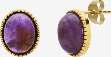 Boucles d'oreilles Lucardi en or : devant