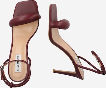 purpurinė STEVE MADDEN Sandalai 'ENTICE'