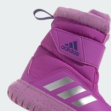 ADIDAS SPORTSWEAR Snowboots in Lila