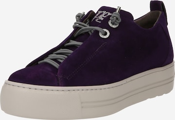 Paul Green Sneakers laag 'Pauls' in Lila: voorkant