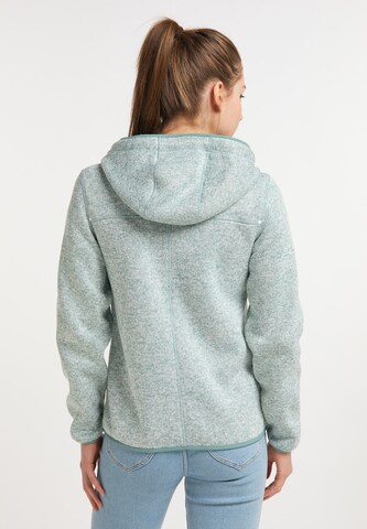 Jachetă  fleece de la ICEBOUND pe verde