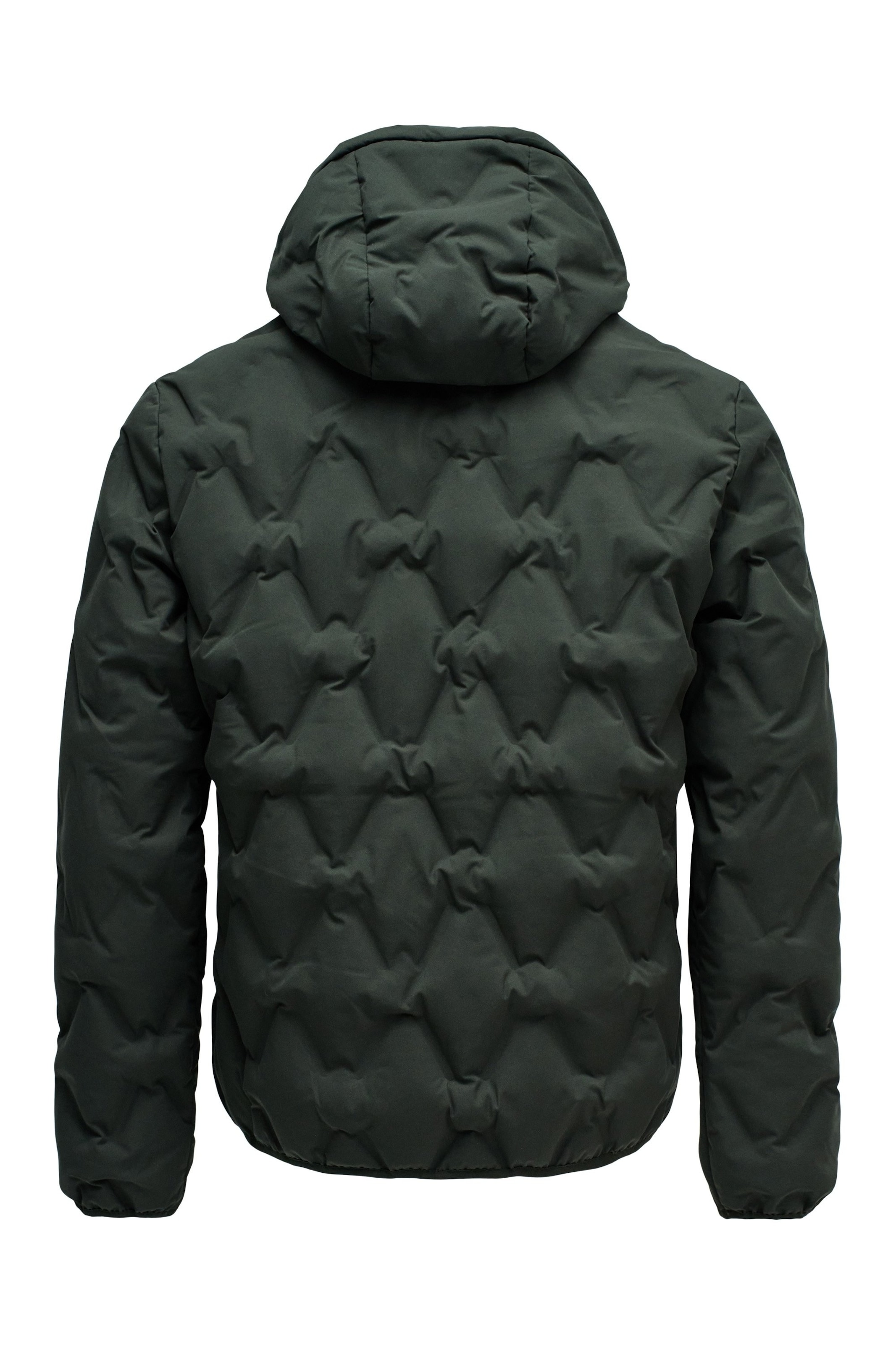 Salsa Jeans Winterjas in Groen