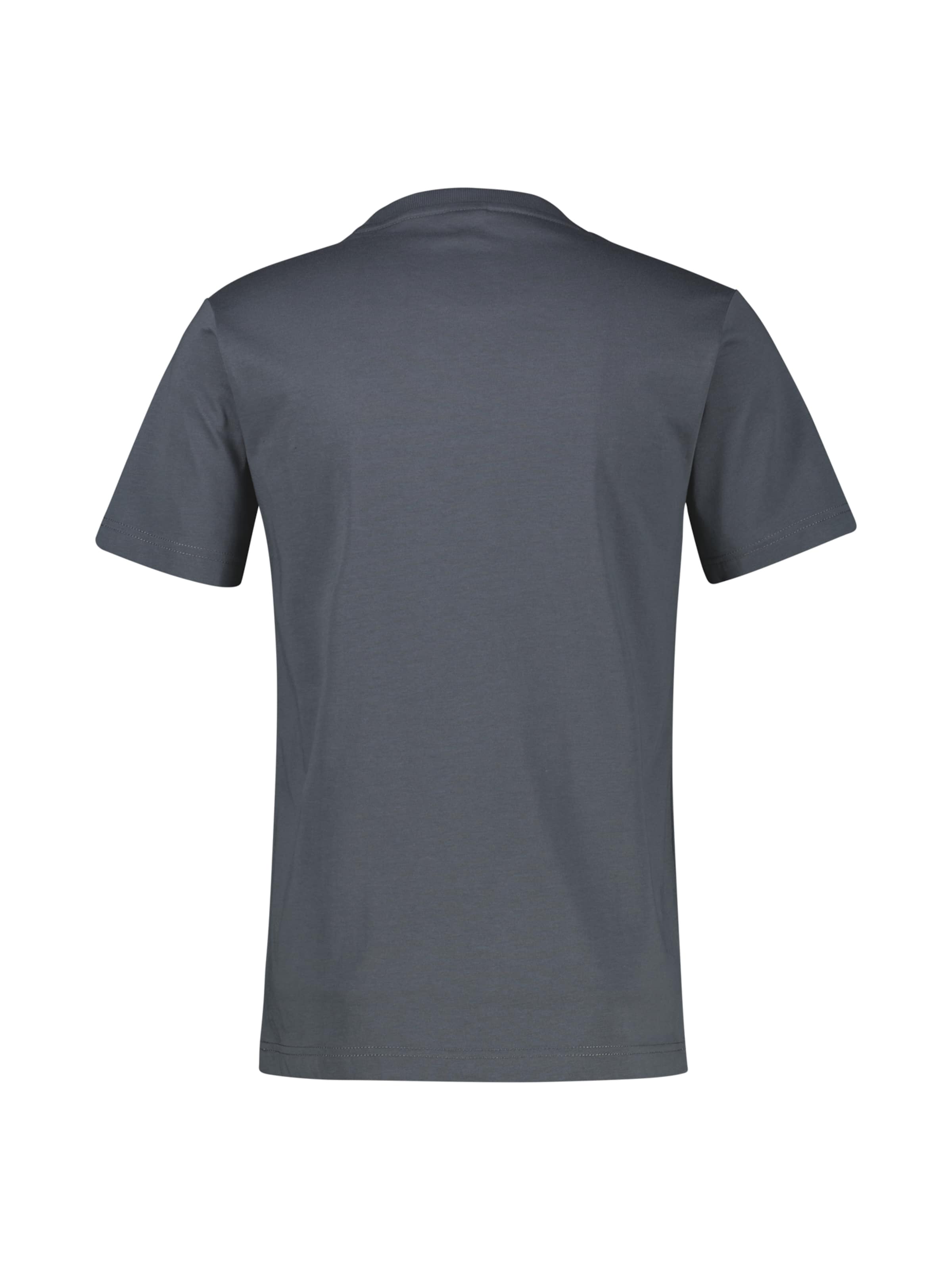 LERROS Shirt in Grey