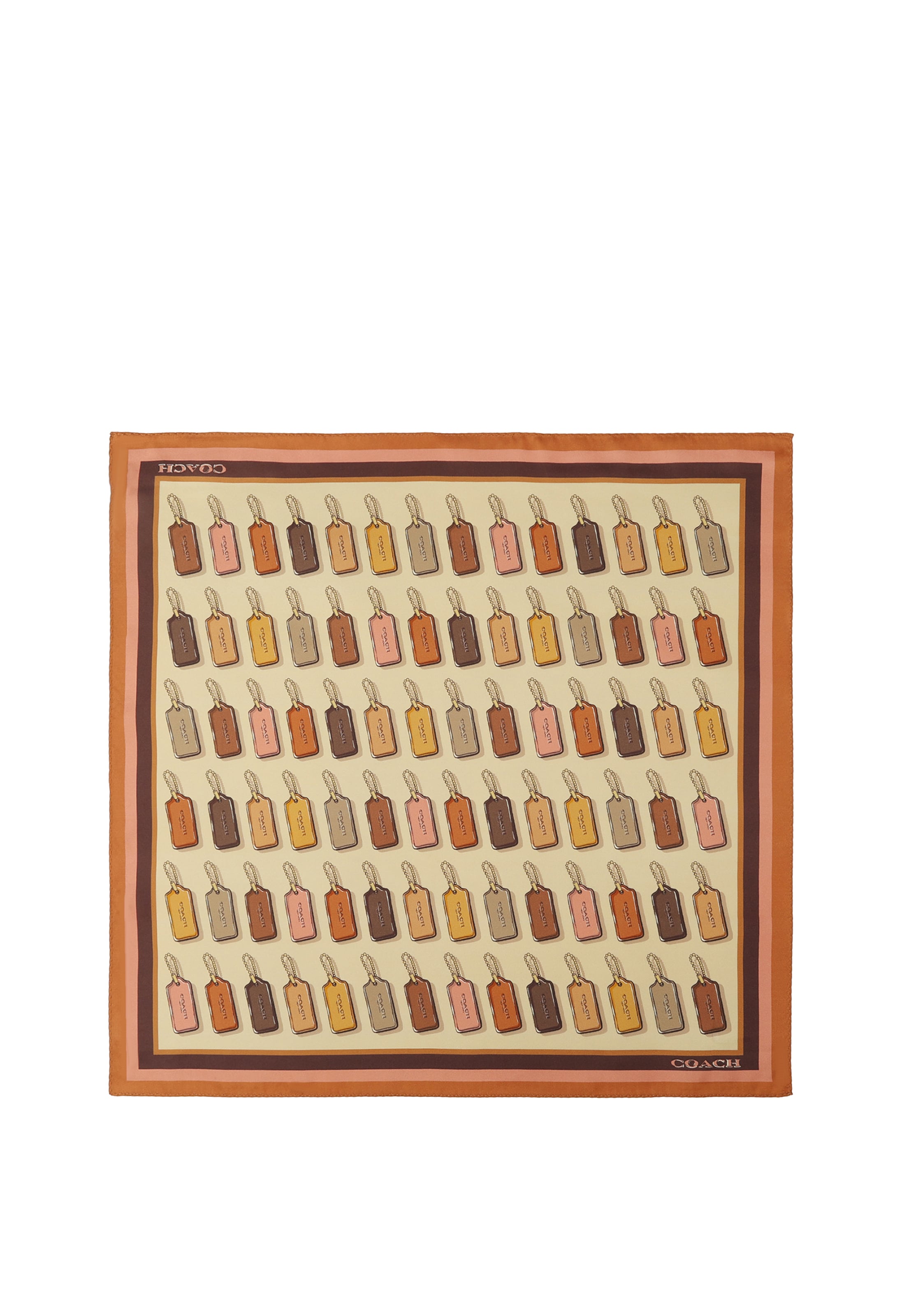 Écharpe COACH en marron : devant