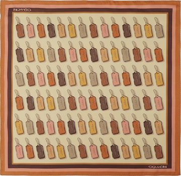 ruda COACH Šalikas: priekis