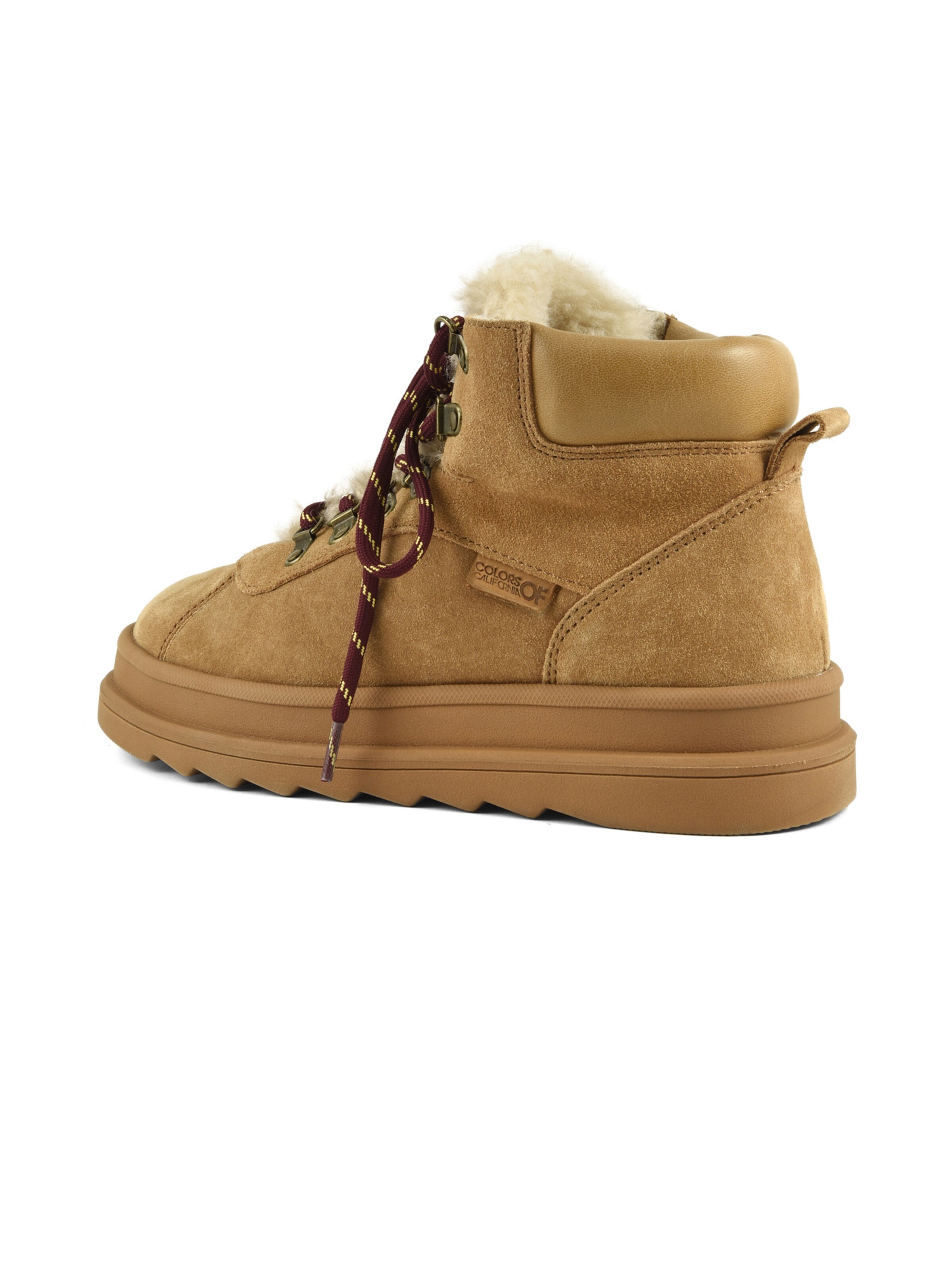 Stivaletto stringato di COLORS OF CALIFORNIA in marrone: dietro