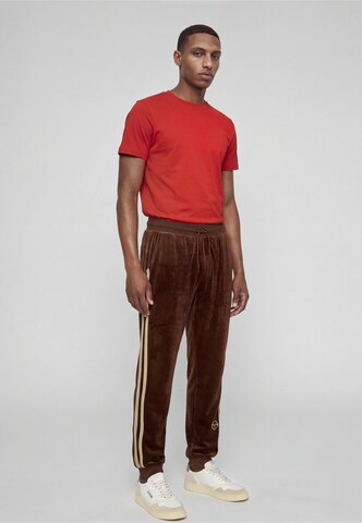 Regular Pantalon Sergio Tacchini en marron : devant