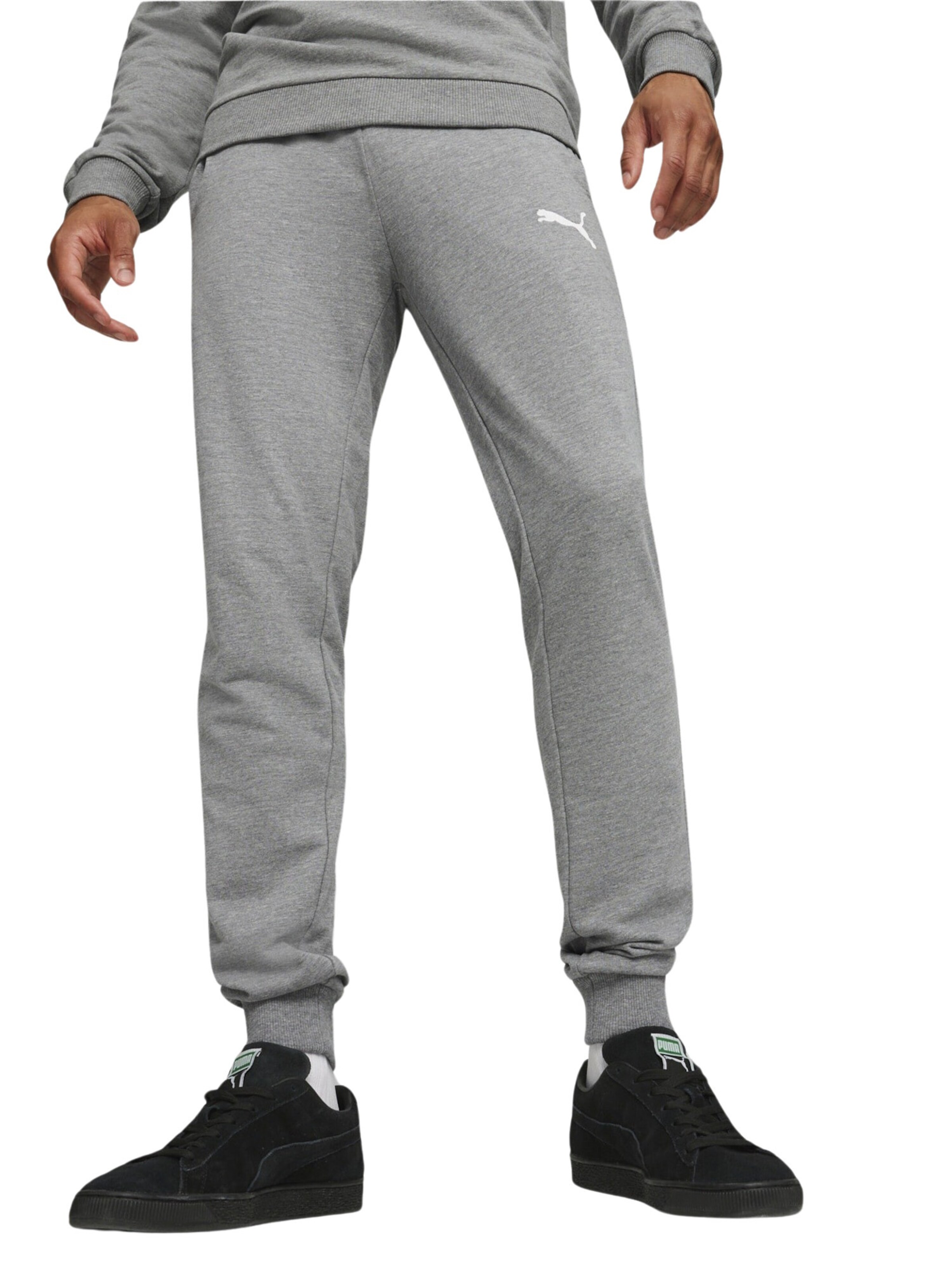 Tapered Pantaloni sportivi 'Team Goal' di PUMA in grigio: frontale