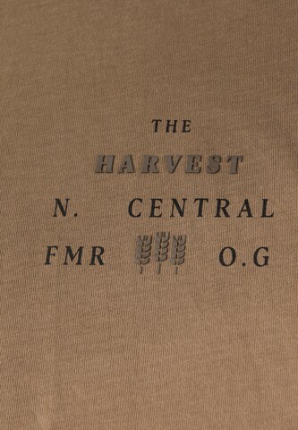 Street One MEN Shirt in Brown