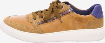 ARA Sneakers in Brown