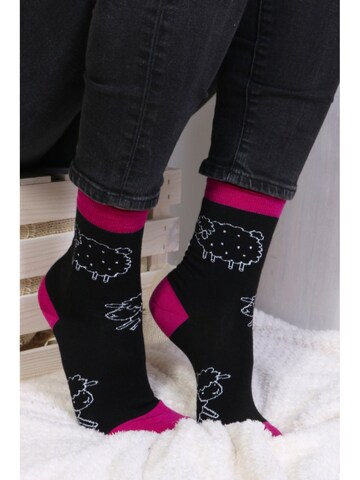 Sokisahtel Sokken 'LAMB merino wool socks' in Zwart: voorkant
