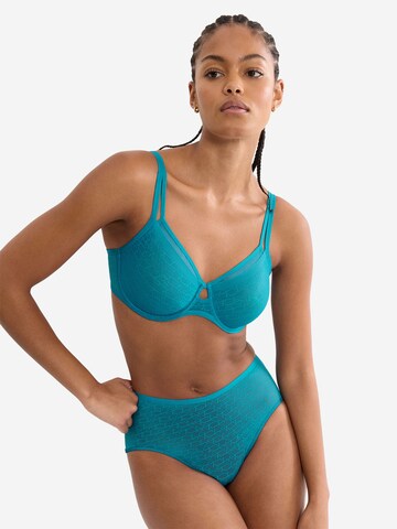 TRIUMPH Maxislip ' Red Label Triumph Signature Sheer ' in Blau