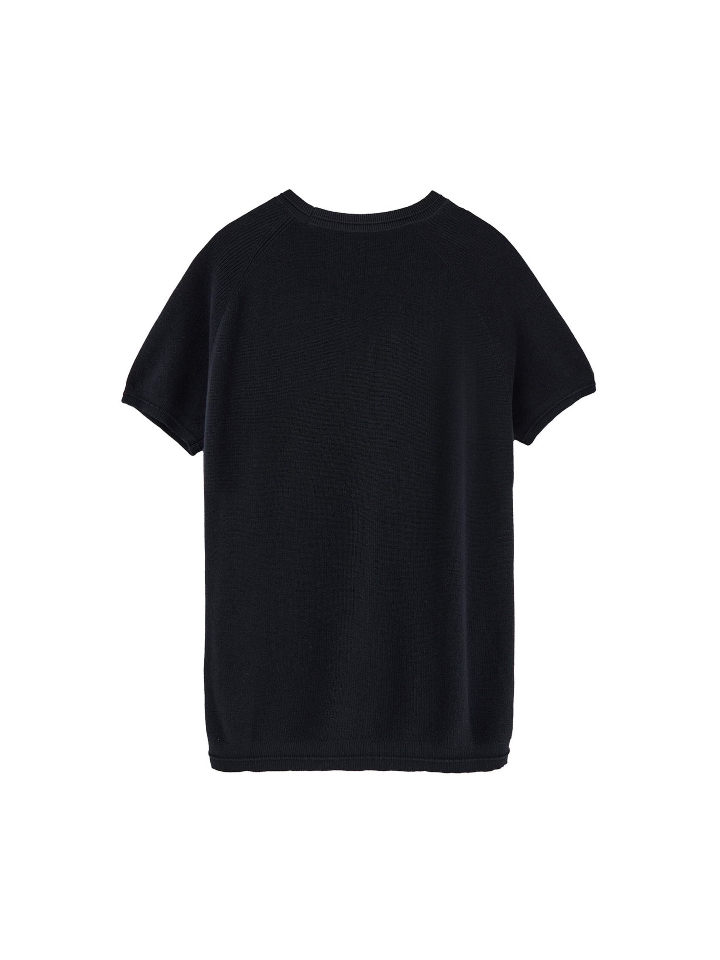 Polo Club Pullover 'EZZE' in Blau