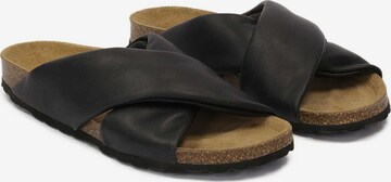 Kazar Mules in Black