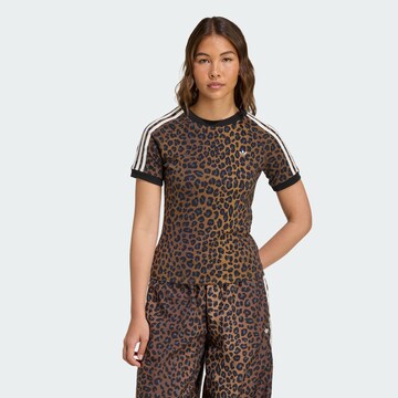 ADIDAS ORIGINALS Koszulka 'Cali' w kolorze brązowy: przód