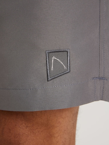 CHASIN' Swimming shorts 'Soll Solid' in Grey