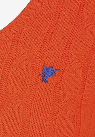 DENIM CULTURE Pullover 'Holly' i orange