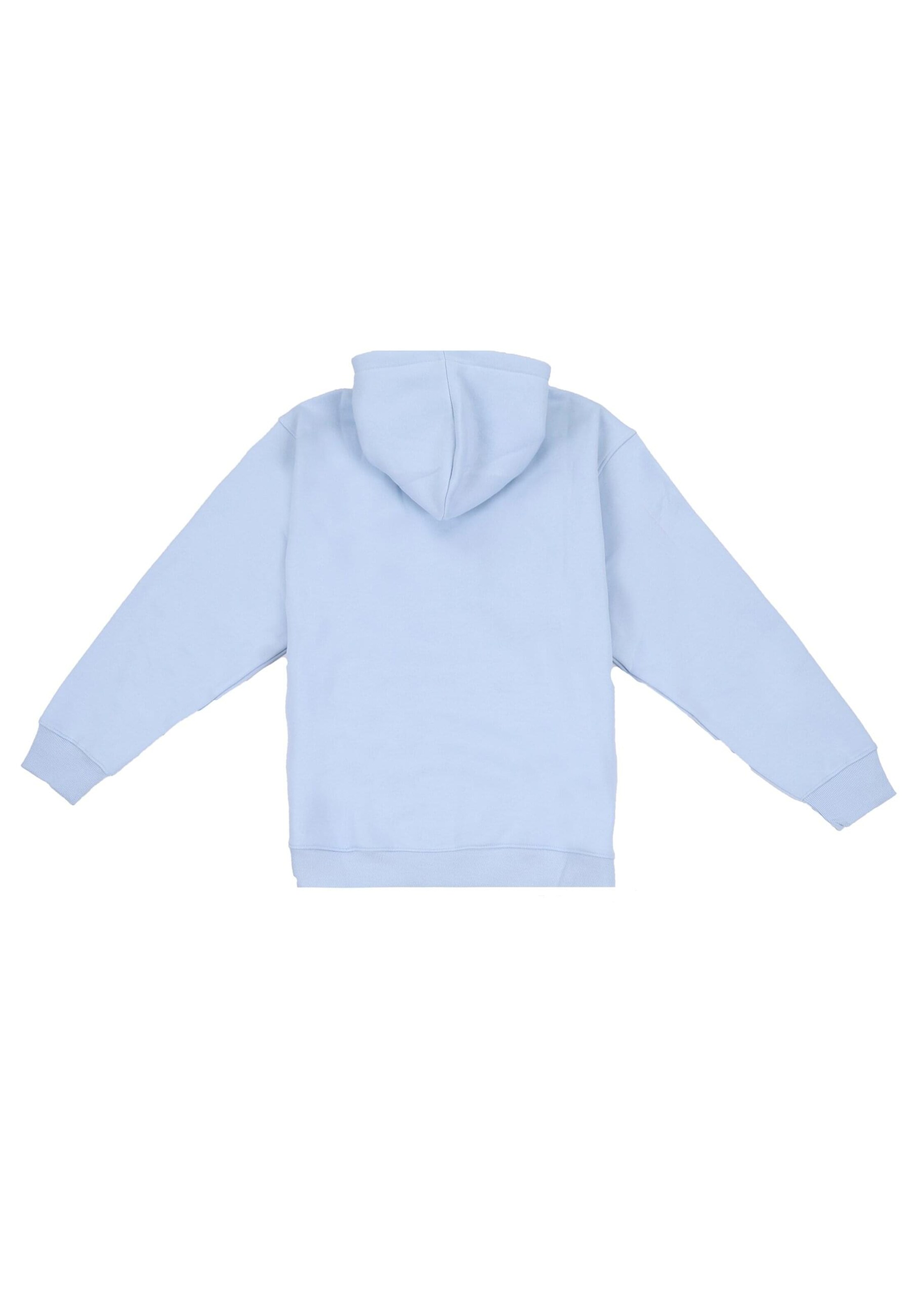 Dropsize Sweatjacke in Blau