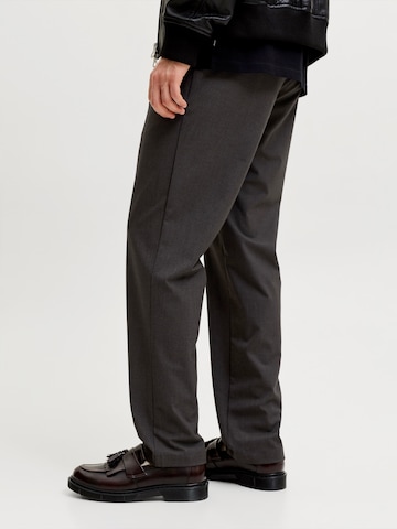 JACK & JONES regular Παντελόνι τσίνο 'JPSTollie Connor' σε καφέ