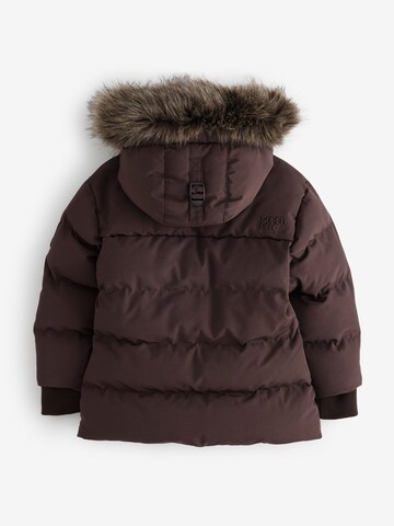 Superdry & Co - Chaqueta de invierno en marrón