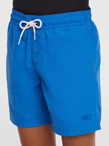 O'NEILL Board Shorts in Blue