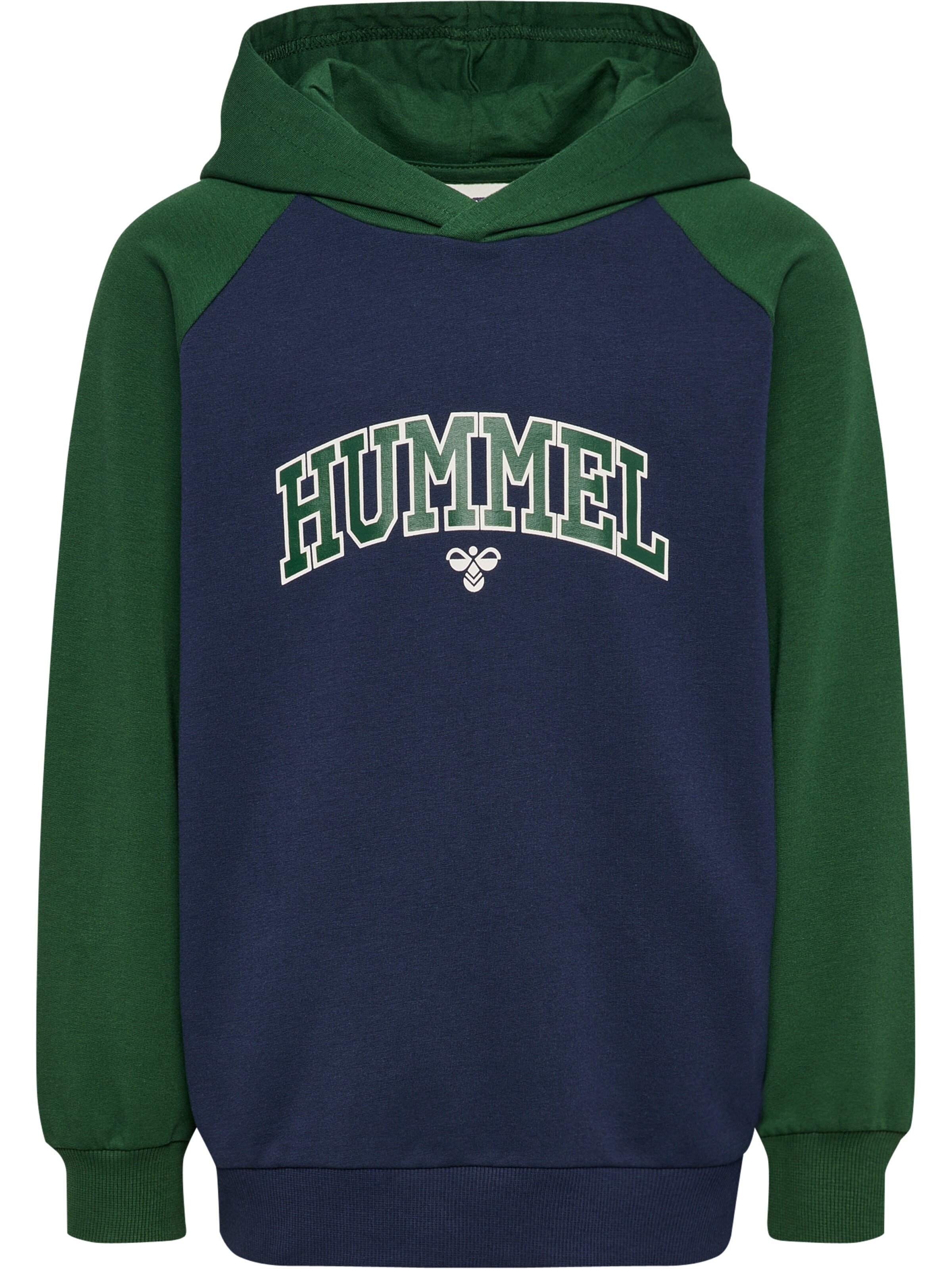 Hummel Sweatshirt 'Essen' i blå: forside