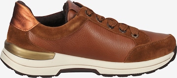 ARA Sneakers in Brown