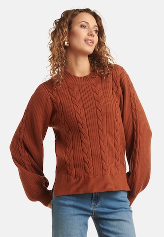 Smashed Lemon Trui in Bruin