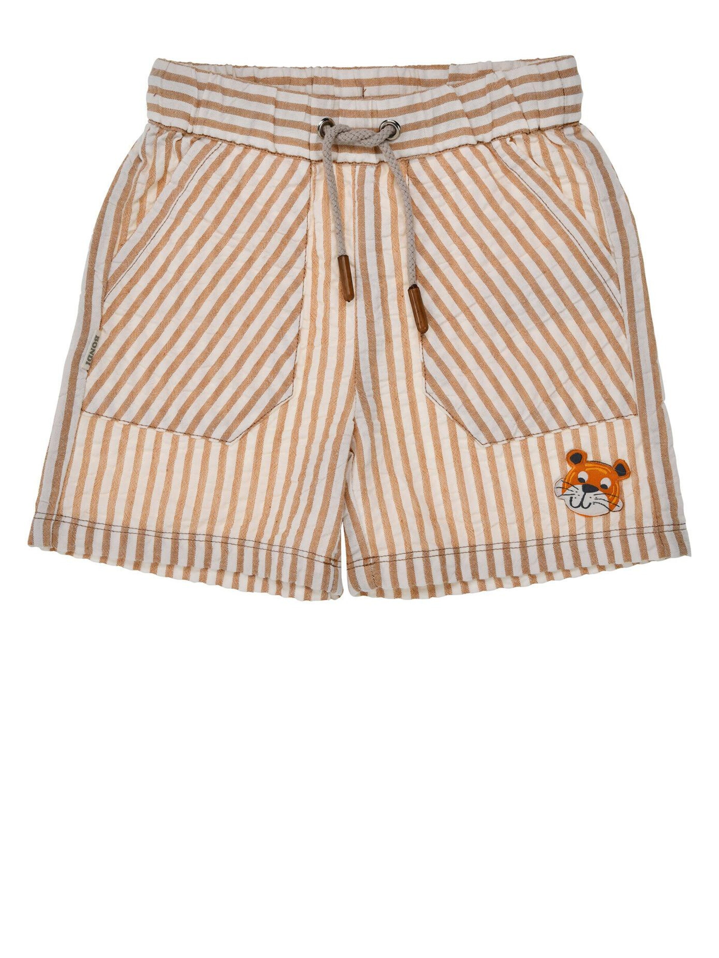 BONDI Regular Pants in Brown: front