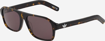 ADIDAS ORIGINALS Solglasögon i brun: framsida