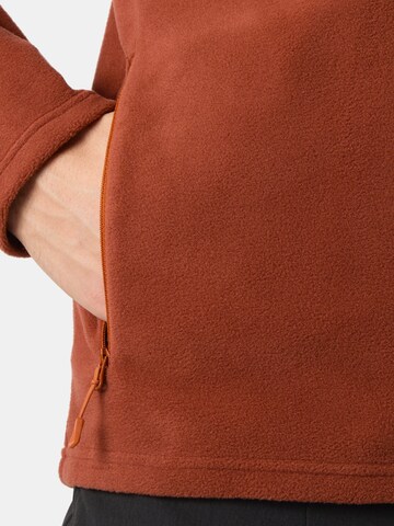 Veste en polaire fonctionnelle 'DAYBREAKER' HELLY HANSEN en marron