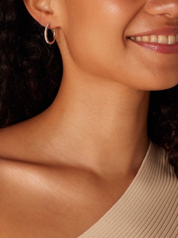 Boucles d'oreilles Lucardi en argent