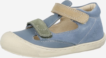 mėlyna NATURINO Atviri batai 'KYMEL': priekis