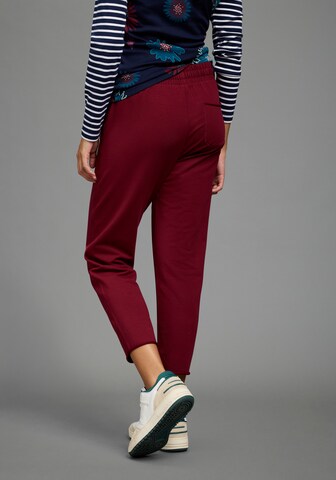 KangaROOS Tapered Hose in Rot
