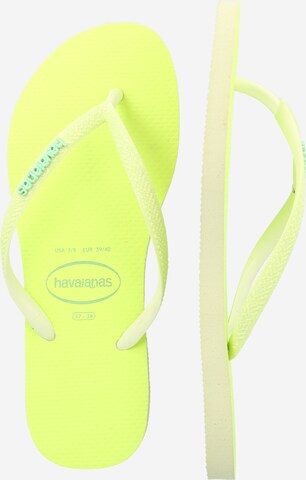HAVAIANAS T-Bar Sandals in Green