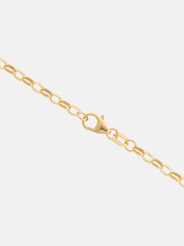 Vanlere Kette‌‌‌‌‌‌‌‌‌ in Gold