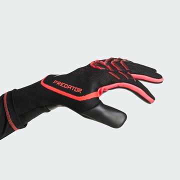 ADIDAS PERFORMANCE Sporthandschuhe 'Predator Pro' in Schwarz