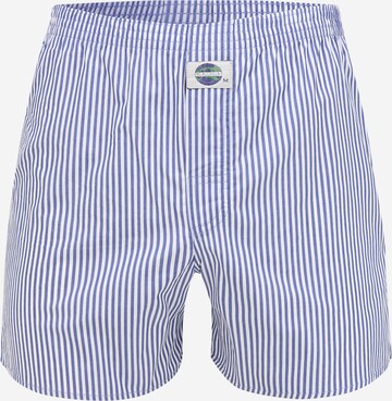 D.E.A.L International Boxershorts in Blauw: voorkant