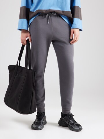 HOLLISTER Tapered Hose in Grau: Vorderseite