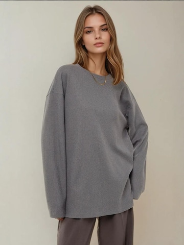 Hiccup - Sweatshirt em cinzento: frente