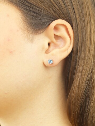 DIAMANT LETERNEL Earrings in Silver: front
