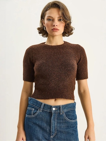Bianco Lucci Pullover 'Pullover'‌‌‌‌‌‌‌‌‌‌ in Braun: Vorderseite